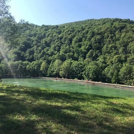 Apartman Kosuta 2 Tjentiste Esterno foto